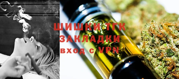 стаф Россошь