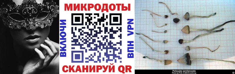 Псилоцибиновые грибы GOLDEN TEACHER  Заволжье 